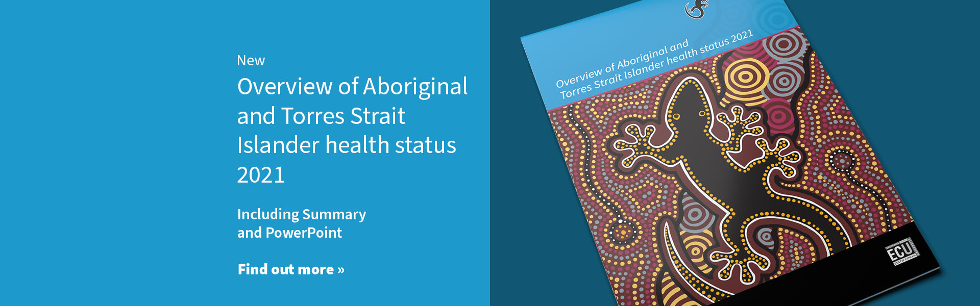 Healthinfonet Home Page - Australian Indigenous HealthInfoNet